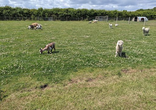 Mead Open Farm