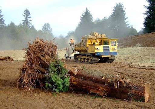 Cascadia Ecological Services  Inc.