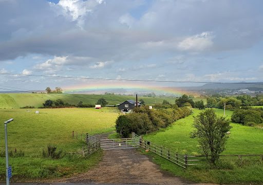 Pear Tree Farm