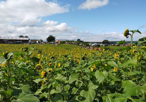 Pencoed Fach Farm