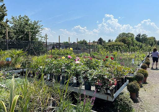 L.Mills Creswick Nursery