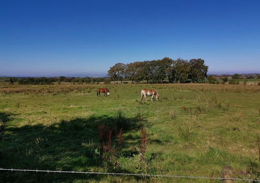 Harelaw Farm