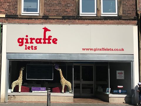 Giraffe Financial