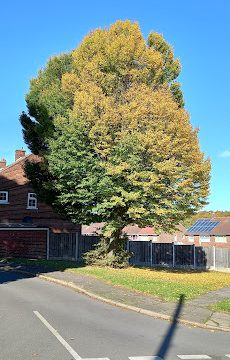 St Johns Green Post Office