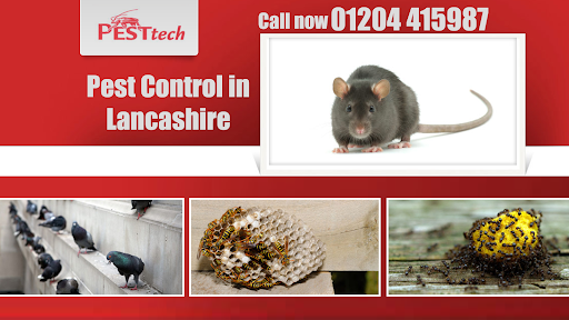 Pesttech Environmental Services – Pest control in Bolton