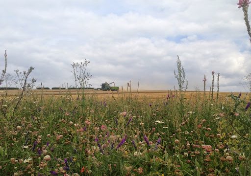 Randall Farms Ltd