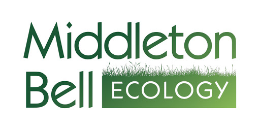 Middleton Bell Ecology