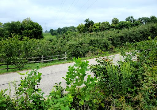 Crosby’s Orchard