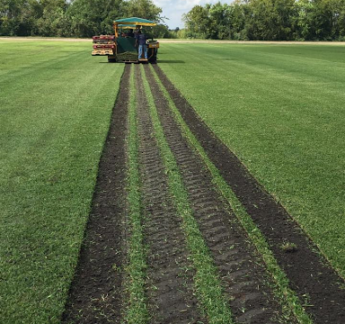 Gulf Coast Turf Farms