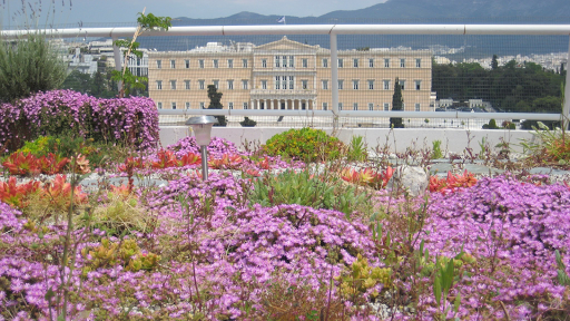 OS Natural Ecosystem Green Roofs