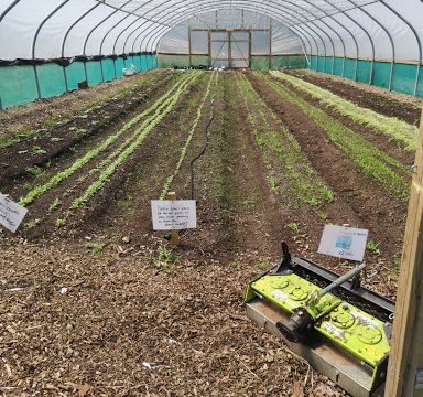 Bridge Community Farms