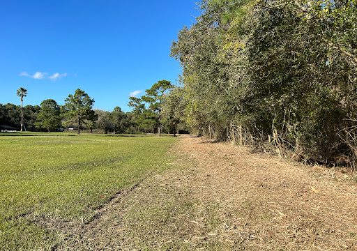 Texas Brush Control