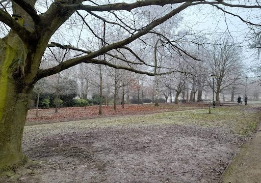 Tunbridge Wells Common