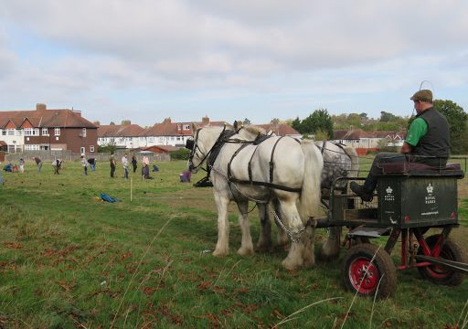 Sutton Nature Conservation Volunteers