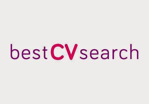 Best CV Search