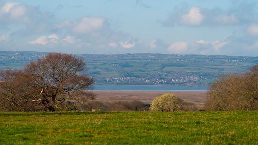 Lloyds Farm