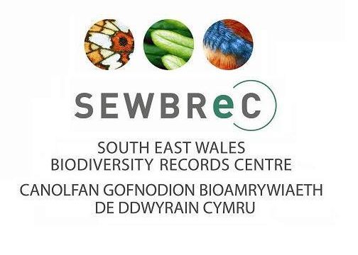 SEWBReC