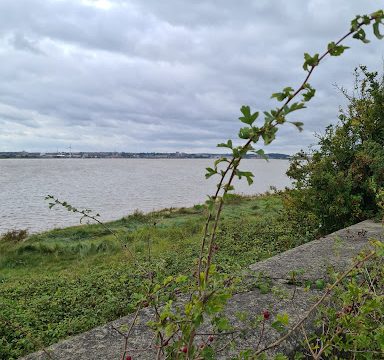 Aveley Bay River Thames Tidal Defence Wall