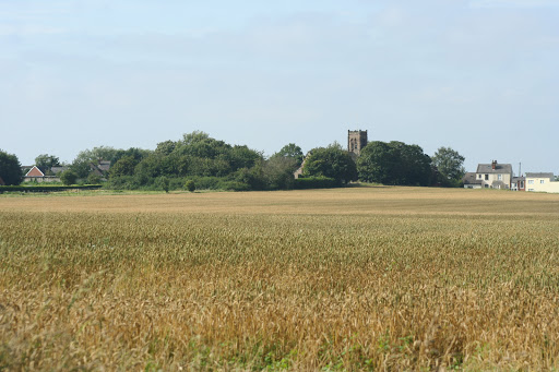 Giddy Gate Farm Wild Bird Food – Online Shop