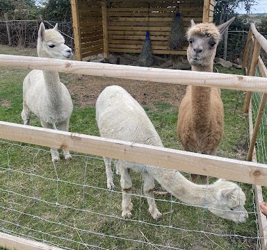 Red Lodge Farm