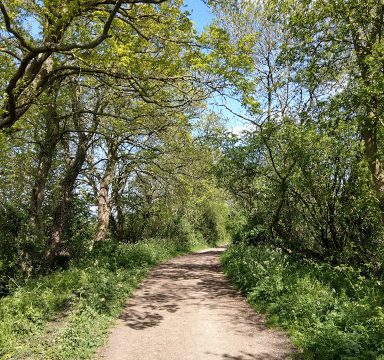 Bletchley Leas Farm