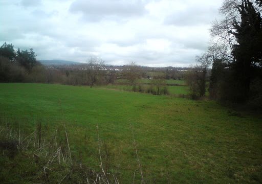 College of Agriculture Food & Rural Enterprise (CAFRE) Greenmount Campus