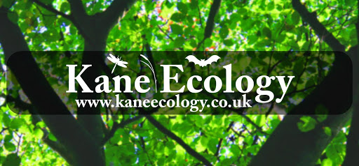 Kane Ecology Ltd