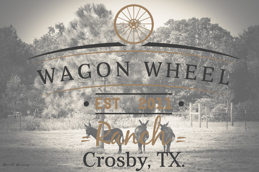 Wagon Wheel Ranch