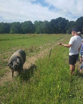 Lynne’s Organic Farm Shop