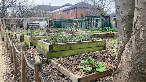 Surrey Docks Farm