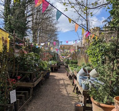 Battersea Flower Station Garden Centre & Florist