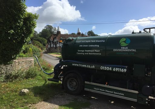 TRUE ENVIRONMENTAL SERVICES LTD