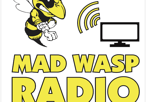 Mad Wasp Productions Ltd – Mad Wasp Radio