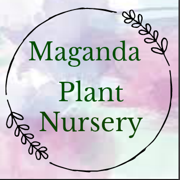 Maganda Plant Nursery