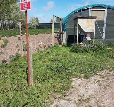 Rookery Farm Eggs