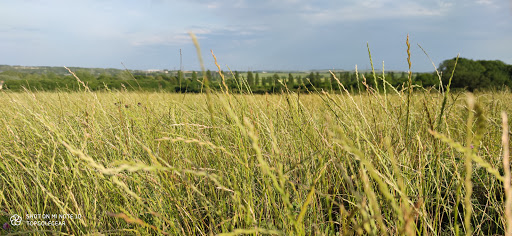 Horse Hill Farm