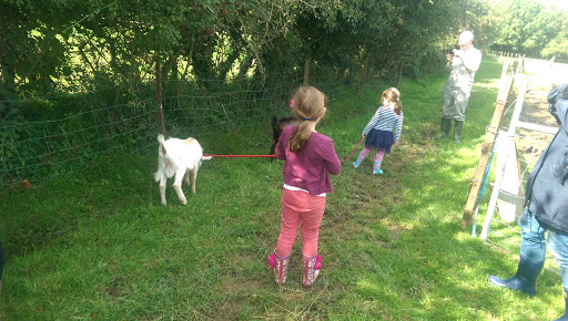 Wern Uchaf was Barn Farm.