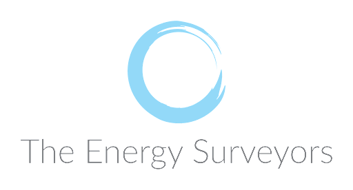 The Energy Surveyors