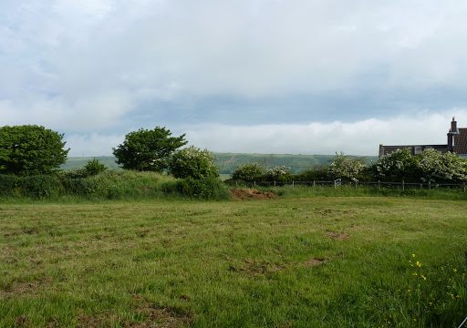 Dorset Grain Services Ltd