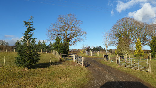 Stoneyfield Farm