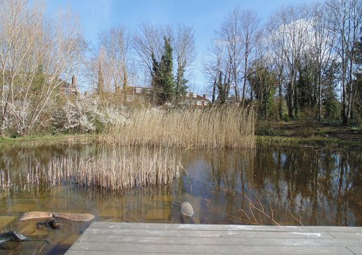 Sutton Ecology Centre Grounds