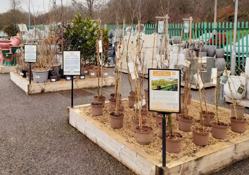 Tunbridge Wells Garden Centre