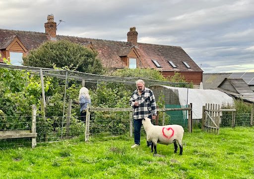 Pot House Farm