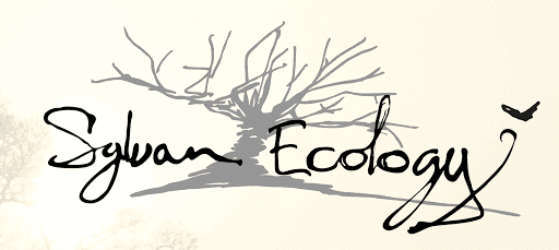 Sylvan Ecology