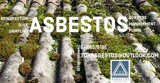 TDH Asbestos Surveying