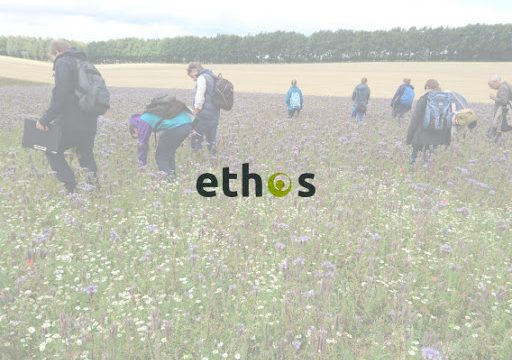 Ethos Environmental Planning