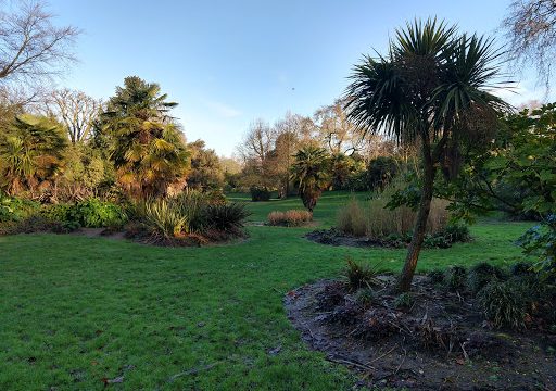 Sub Tropical Garden