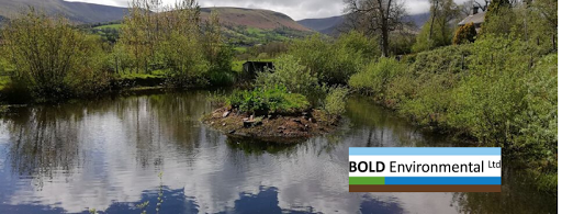 BOLD Environmental Ltd