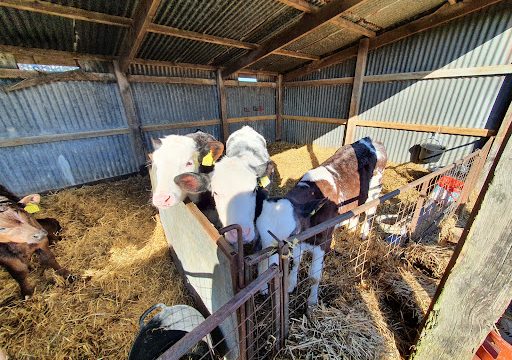 Upper Wood Farm Shop