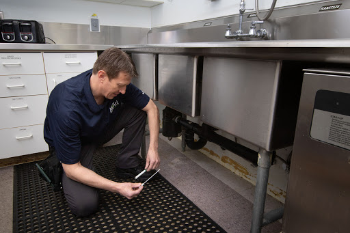 Mold Inspection Sciences